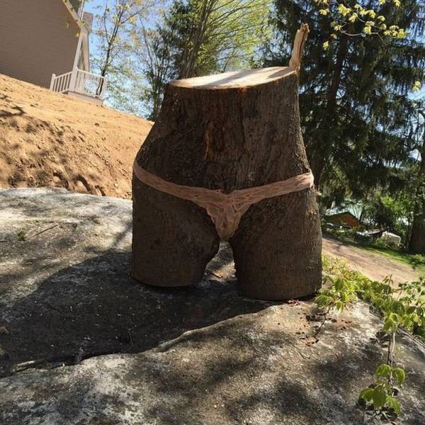 daily picdump 47 pics 21.html - 47 HD Photos | Premium Gallery 2026