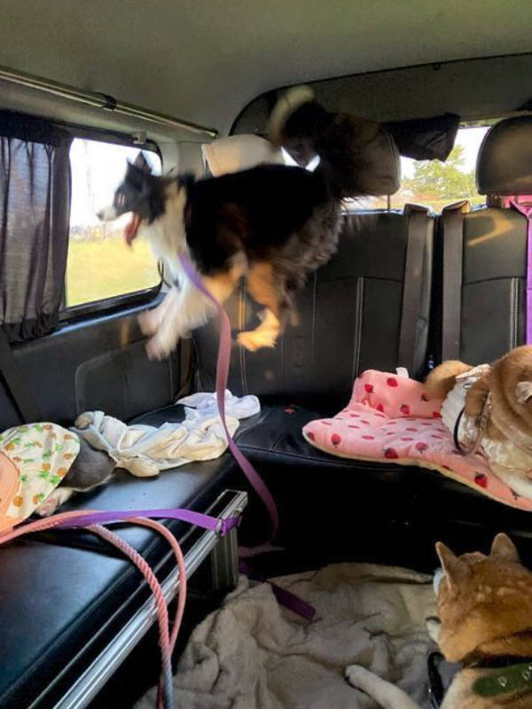 F#ck Yeah! These Moments Rule!