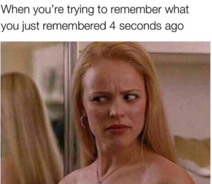 pure internet energy in meme form 30 pics 2.html - 30 HD Photos | Premium Gallery 2026