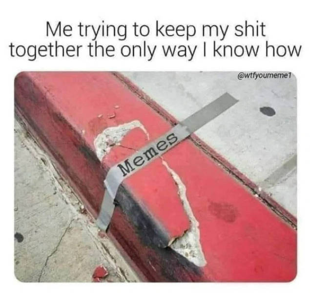 pure internet energy in meme form 30 pics 2.html - 30 HD Photos | Premium Gallery 2026