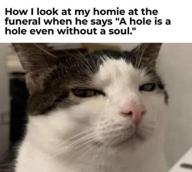 So Dank It Should Be Illegal