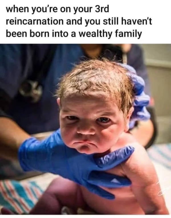 So Dank It Should Be Illegal