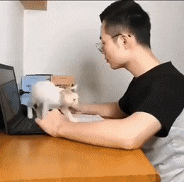 daily gifdump 54 gifs 2.html - 1 HD GIF | Premium Gallery 2026