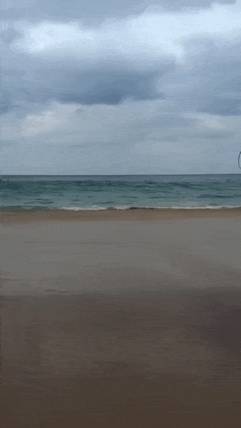 daily gifdump 54 gifs 2.html - 1 HD GIF | Premium Gallery 2026