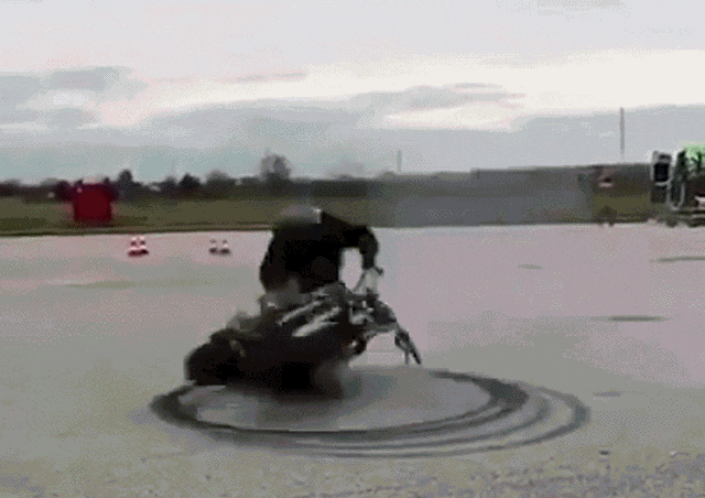 daily gifdump 54 gifs 2.html - 1 HD GIF | Premium Gallery 2026