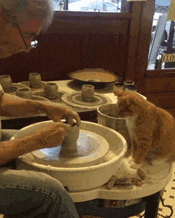 daily gifdump 54 gifs 2.html - 1 HD GIF | Premium Gallery 2026