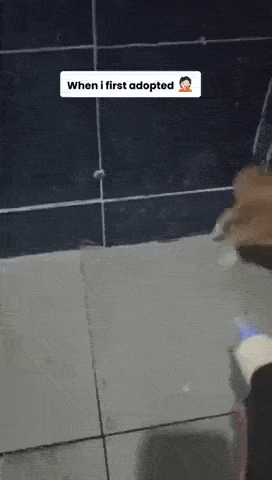 daily gifdump 54 gifs 2.html - 1 HD GIF | Premium Gallery 2026