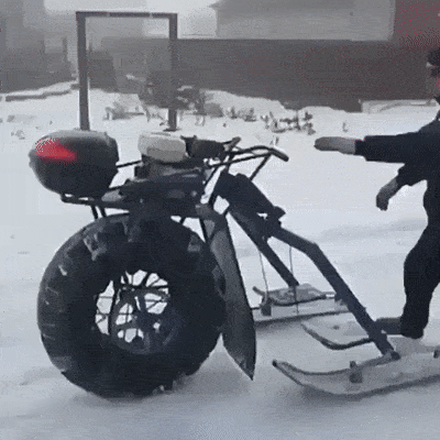 daily gifdump 54 gifs 2.html - 1 HD GIF | Premium Gallery 2026