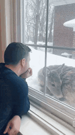 daily gifdump 54 gifs 2.html - 1 HD GIF | Premium Gallery 2026