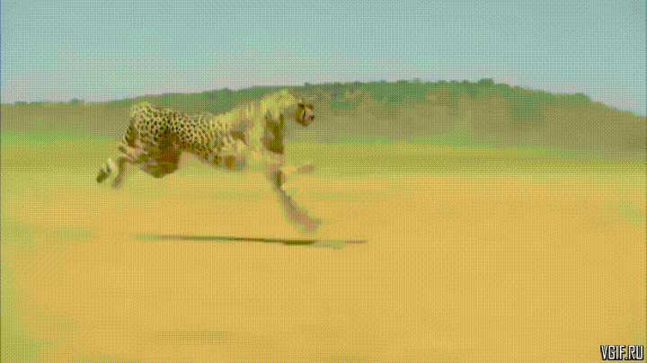 daily gifdump 54 gifs 2.html - 1 HD GIF | Premium Gallery 2026