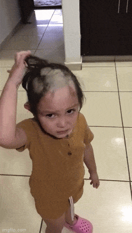 daily gifdump 54 gifs 2.html - 1 HD GIF | Premium Gallery 2026