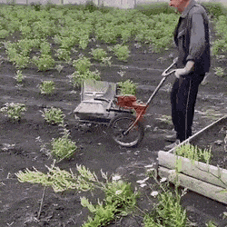 daily gifdump 54 gifs 2.html - 1 HD GIF | Premium Gallery 2026