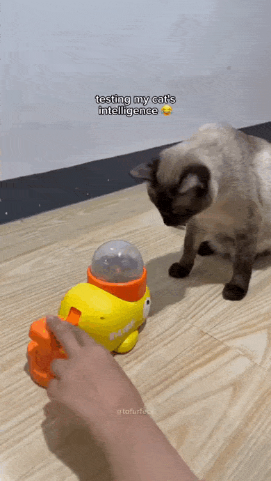 daily gifdump 54 gifs 2.html - 1 HD GIF | Premium Gallery 2026