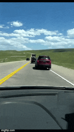 daily gifdump 54 gifs 2.html - 1 HD GIF | Premium Gallery 2026