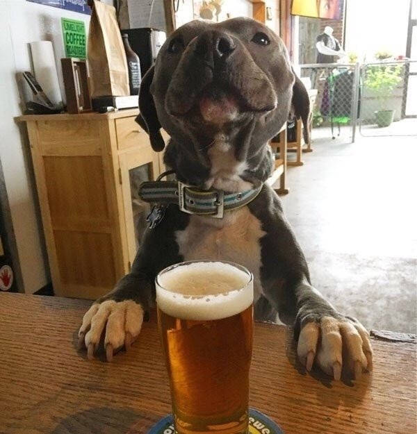 cheers everyone 38 pics 14.html - 38 HD Photos | Premium Gallery 2026