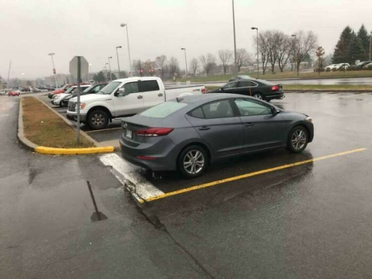 Drivers Who Clearly Skipped the Thinking Part