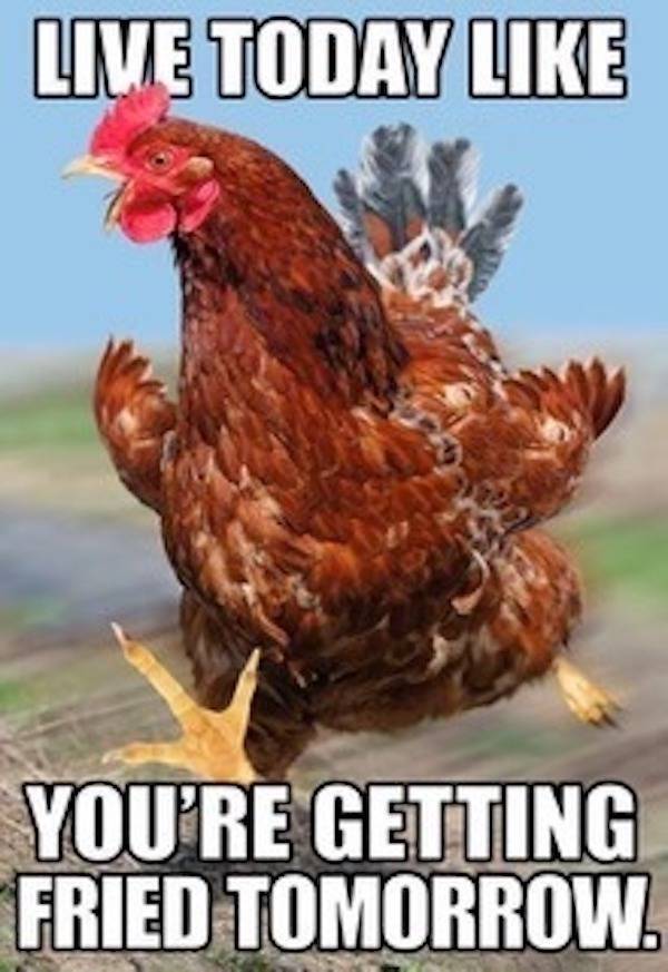 Grumpy Memes for Dads Who Are Always Done