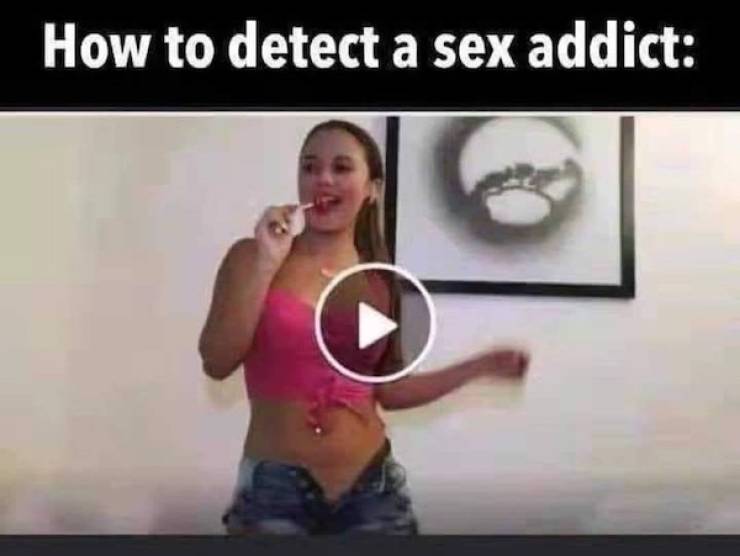 These Memes Don’t Know Much — But They’re Right