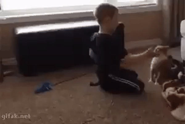 daily gifdump 42 gifs 6.html - 1 HD GIF | Premium Gallery 2026