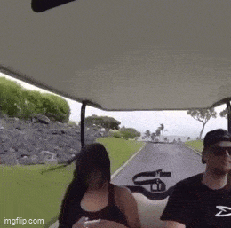 daily gifdump 42 gifs 6.html - 1 HD GIF | Premium Gallery 2026