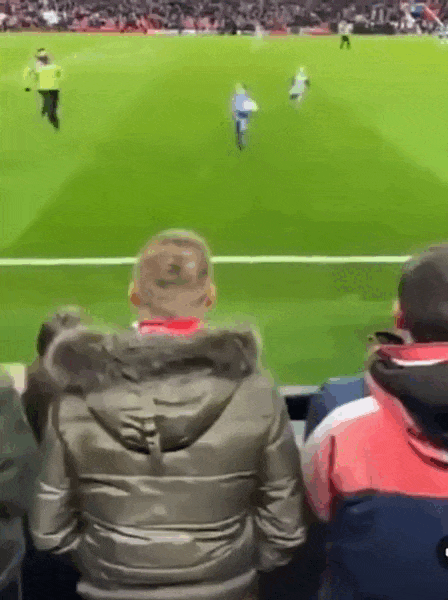 daily gifdump 42 gifs 6.html - 1 HD GIF | Premium Gallery 2026