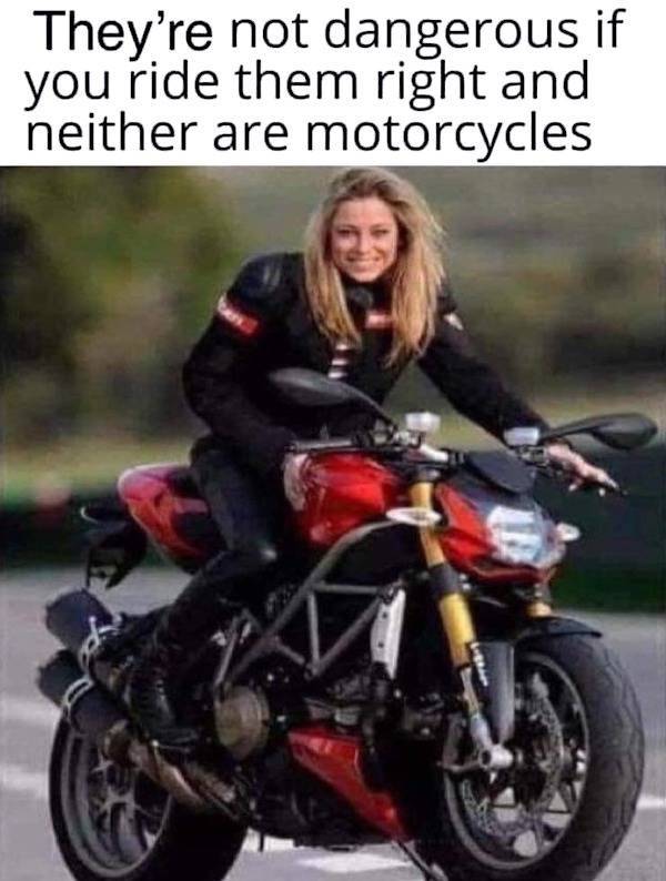 Memes That Hit the Target Every Time