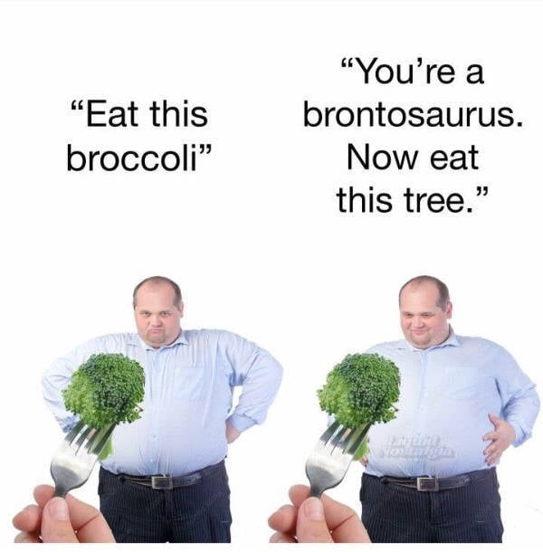 The Internet’s Weirdest Moments