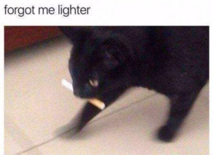 A Chaotic Mix of Internet Memes