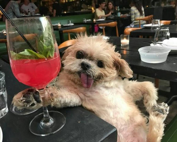 cheers everyone 32 pics 14.html - 32 HD Photos | Premium Gallery 2026