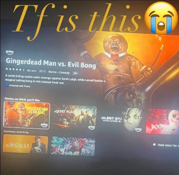 Somewhere Between Brilliant and Ridiculous