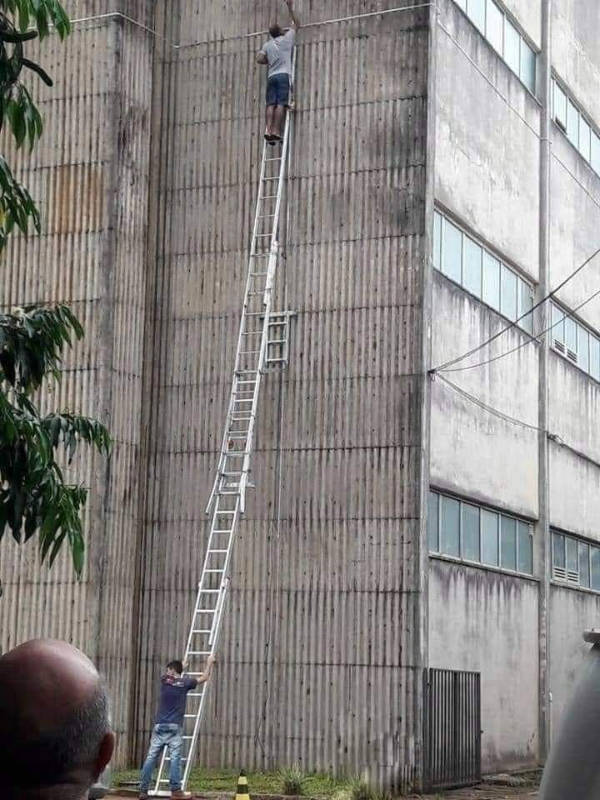 Somewhere Between Brilliant and Ridiculous