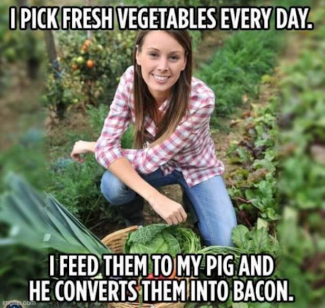 mildly arousing memes 34 pics 16.html - 34 HD Photos | Premium Gallery 2026