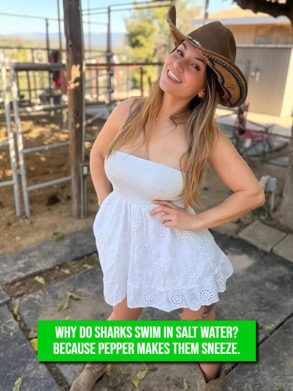 Sexy And Funny At the Same Time