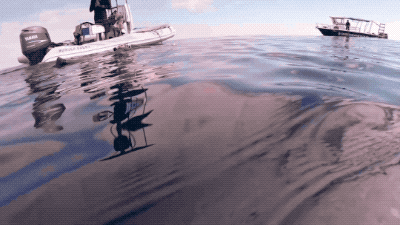 Winning Girl Energy Only