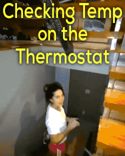 winning girl energy only 25 gifs 6.html - 1 HD GIF | Premium Gallery 2026