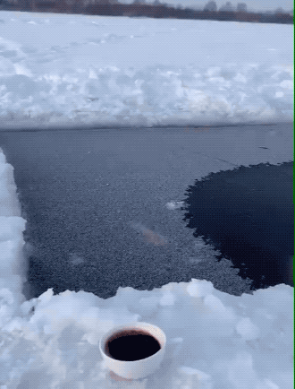 winning girl energy only 25 gifs 6.html - 1 HD GIF | Premium Gallery 2026