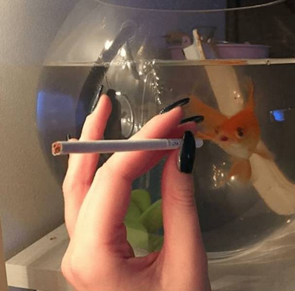 Dirty Dump For Dirty Minds