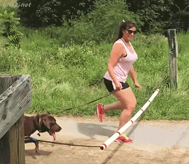 flaming fiascos collection of hot fails 29 gifs 10.html - 1 HD GIF | Premium Gallery 2026