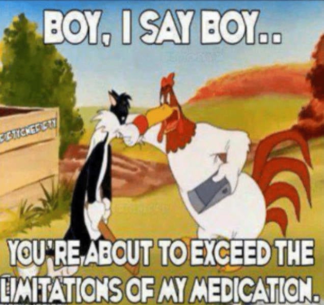 Beer-a-FULL memes for day Drinking