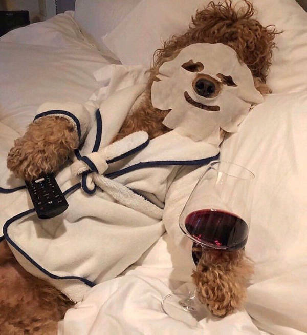 Drinking Never Ends!