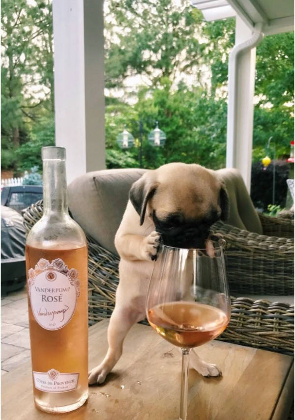 Drinking Never Ends!