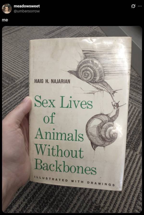 dirty minds are welecome 36 pics 13.html - 36 HD Photos | Premium Gallery 2026