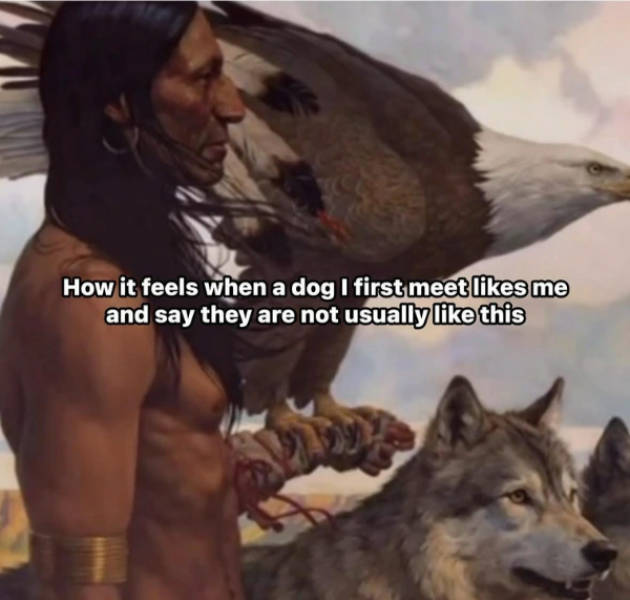 certified dank memes you need right now 33 pics 16.html - 33 HD Photos | Premium Gallery 2026