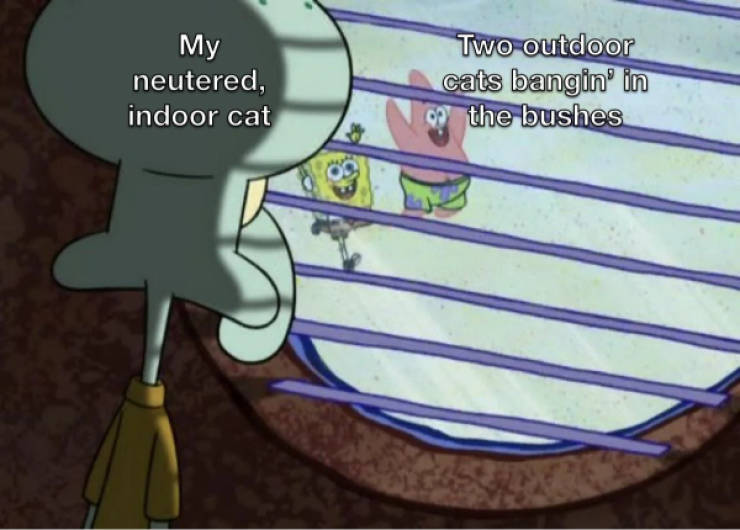 certified dank memes you need right now 33 pics 16.html - 33 HD Photos | Premium Gallery 2026