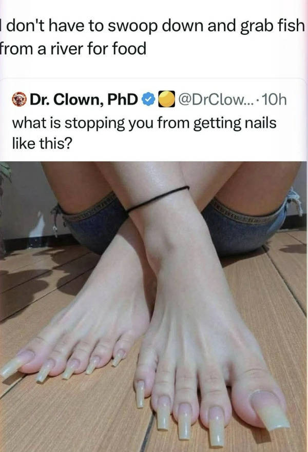 certified dank memes you need right now 33 pics 16.html - 33 HD Photos | Premium Gallery 2026