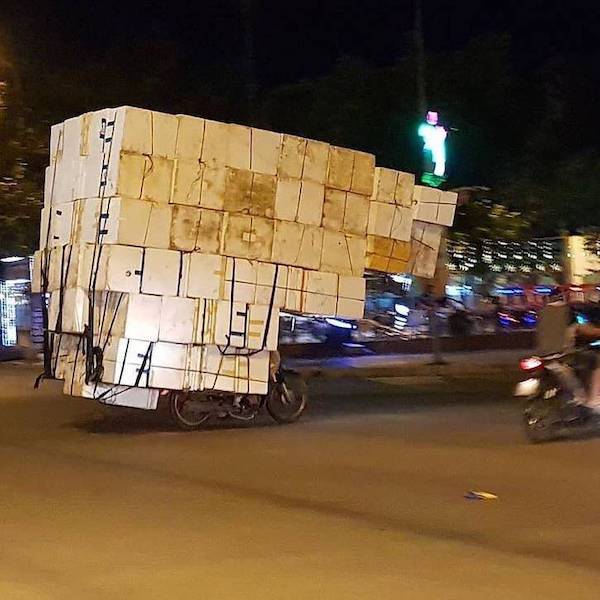 daily picdump 43 pics 19.html - 43 HD Photos | Premium Gallery 2026