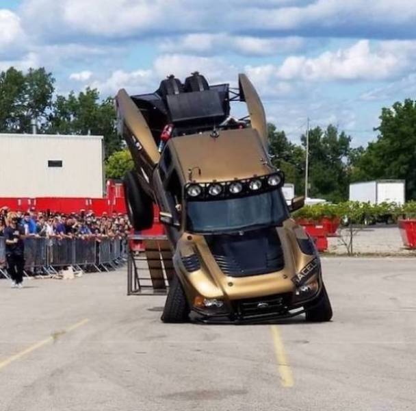 daily picdump 43 pics 19.html - 43 HD Photos | Premium Gallery 2026