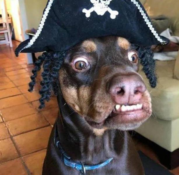 daily picdump 43 pics 19.html - 43 HD Photos | Premium Gallery 2026