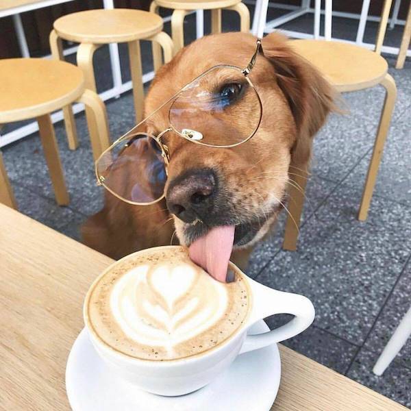 daily picdump 43 pics 19.html - 43 HD Photos | Premium Gallery 2026