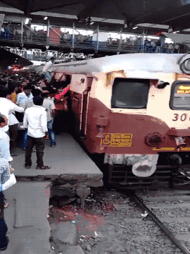 daily gifdump 47 gifs 5.html - 1 HD GIF | Premium Gallery 2026